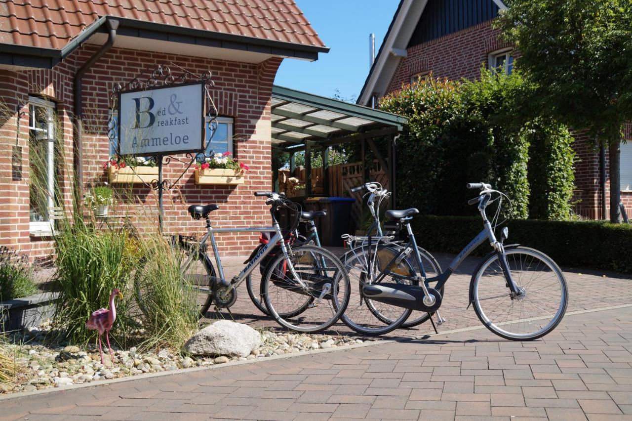 Bed And Breakfast Ammeloe Vreden Exterior photo